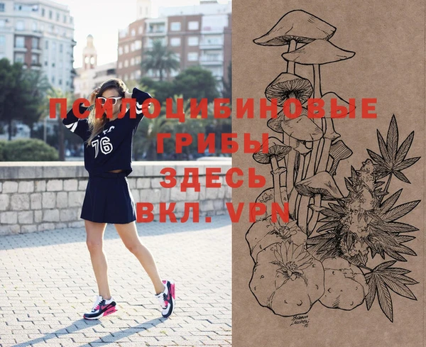 индика Аркадак