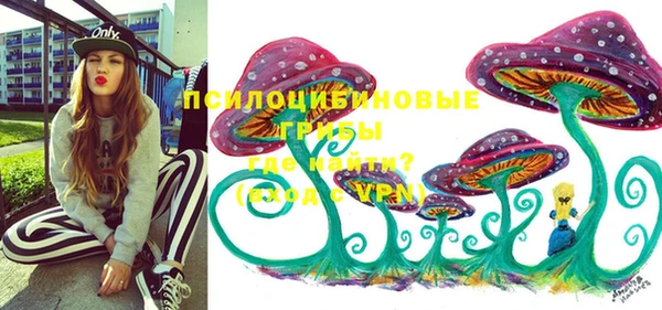 индика Аркадак