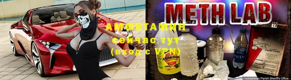 индика Аркадак