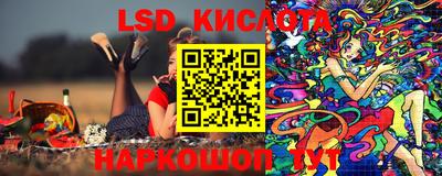 индика Краснознаменск