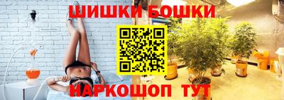индика Краснознаменск