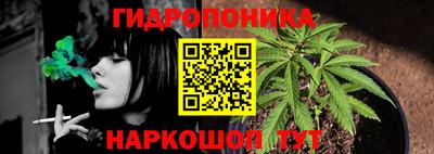 индика Краснознаменск