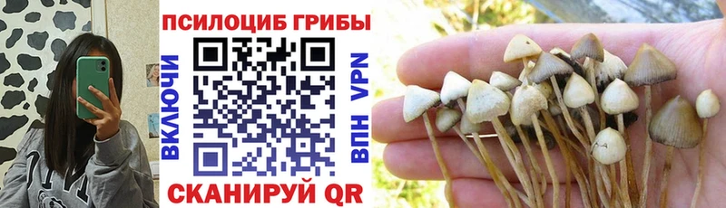 закладка  мориарти телеграм  Галлюциногенные грибы GOLDEN TEACHER  Соликамск 