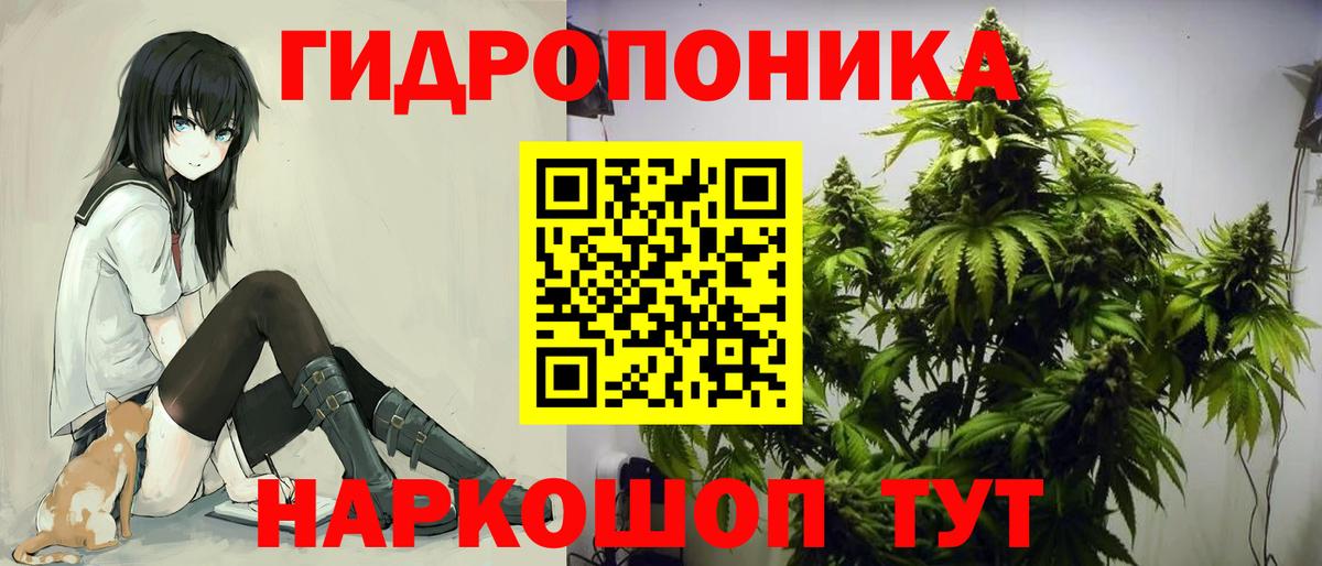 Бошки Шишки индика  Бошки марихуана OG Kush  Вход с VPN  Соликамск 